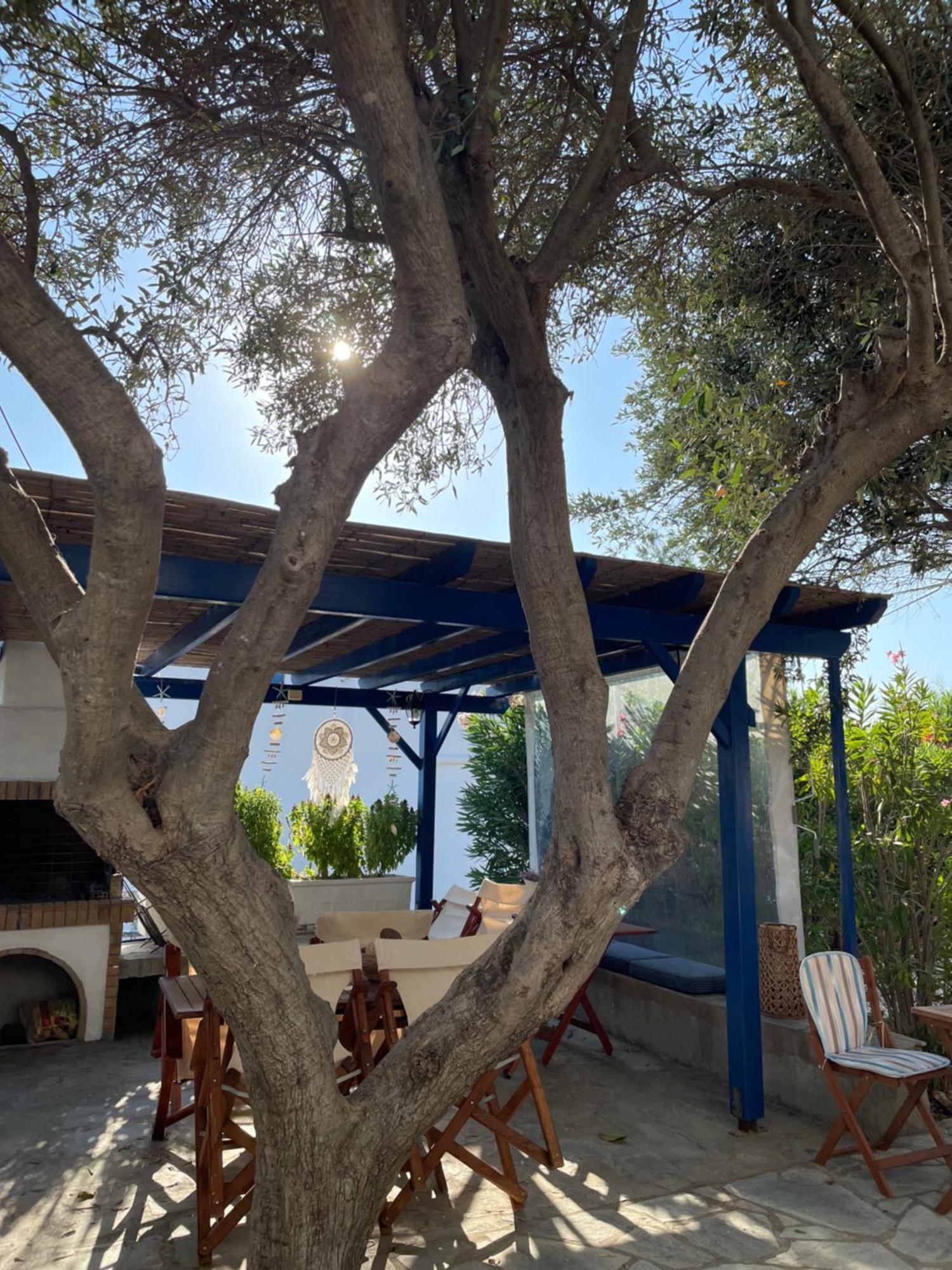 Villa Gelly'S Studios Alikí Exteriér fotografie